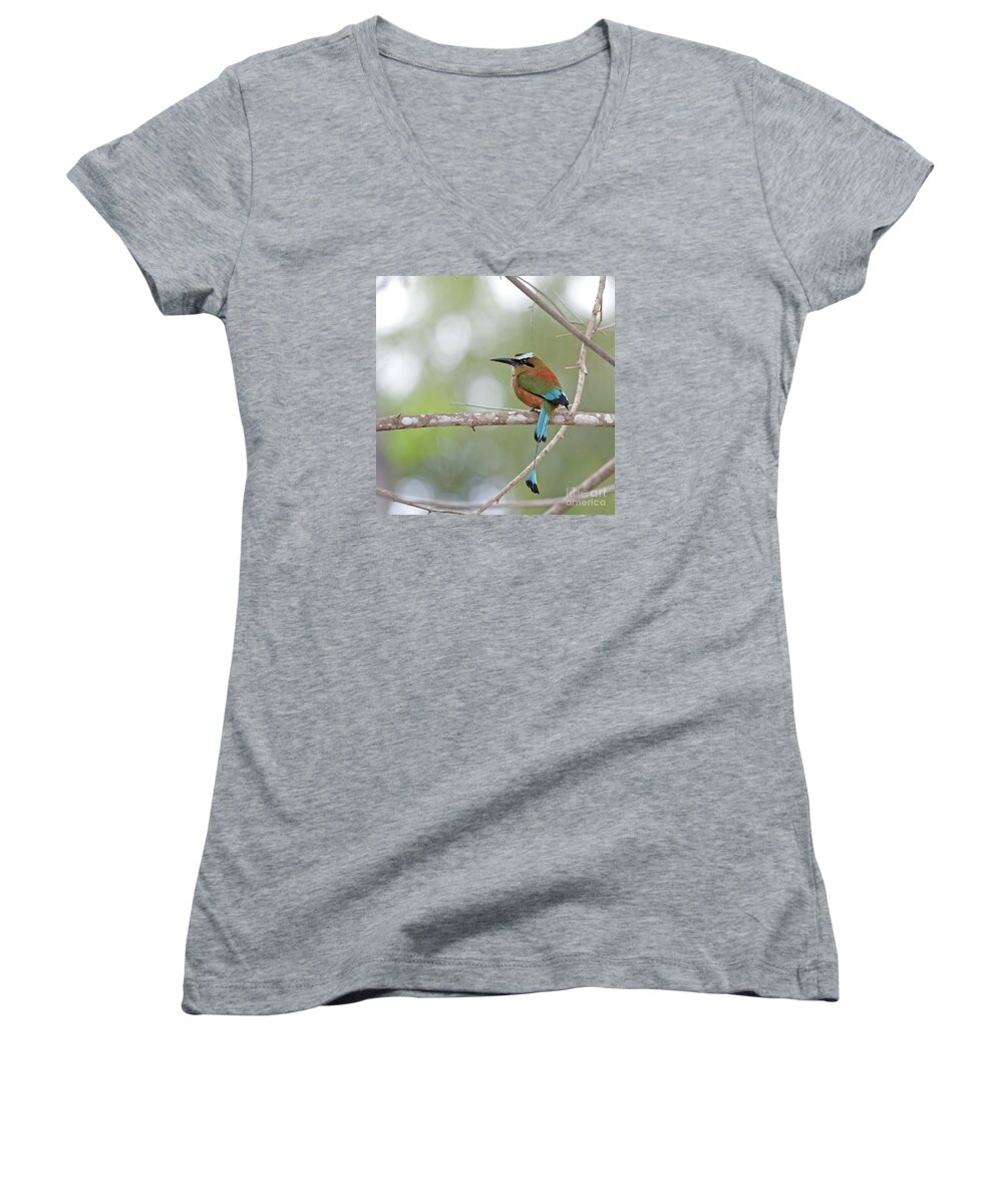Turquoise-browed Motmot Women's V-Neck featuring the photograph Turquoise Pendant.. by Nina Stavlund