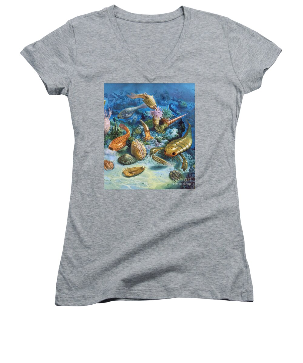 Illustration Women's V-Neck featuring the photograph Underwater Life During The Paleozoic by Publiphoto