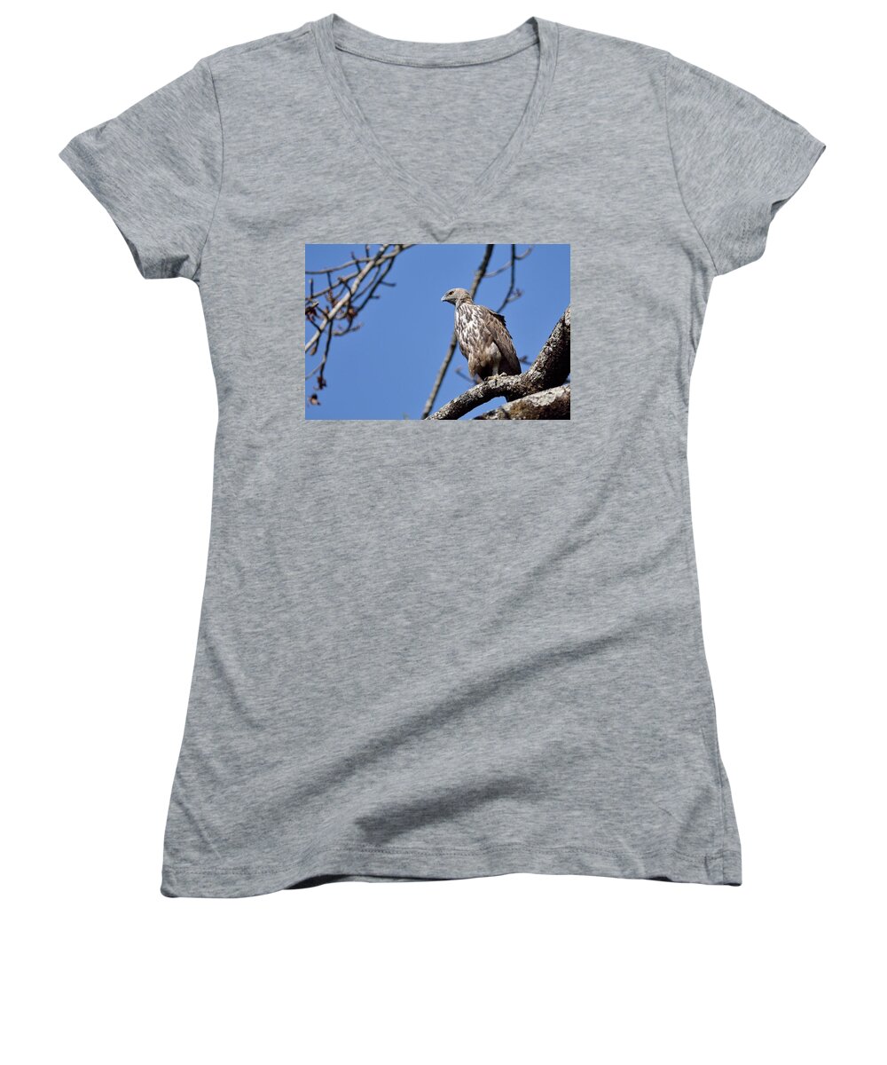 Nature Women's V-Neck featuring the photograph Watchful Eyes by Fotosas Photography
