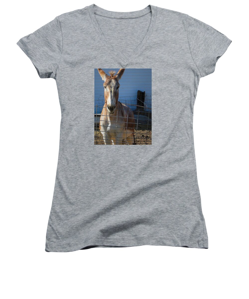 Donkey Women's V-Neck featuring the photograph What's Up by Nadalyn Larsen