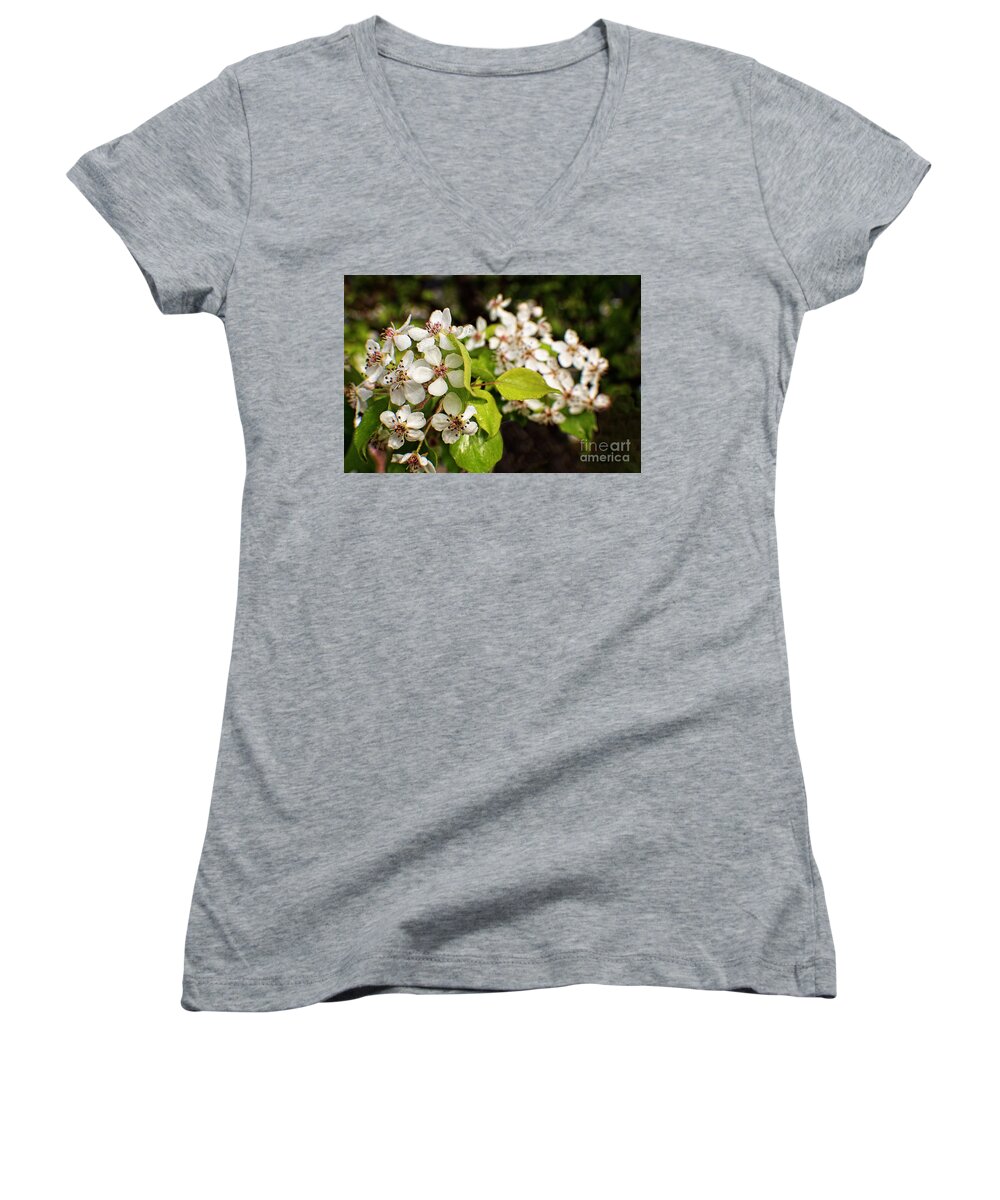 Plum Women's V-Neck featuring the photograph Wild Plum Blossoms by Ella Kaye Dickey