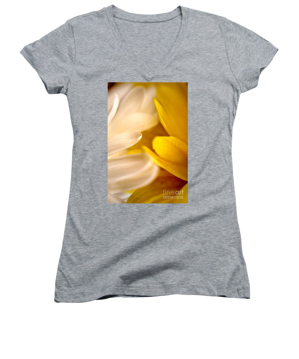 White Daisy Women's V-Neck featuring the photograph Wispy by Deb Halloran