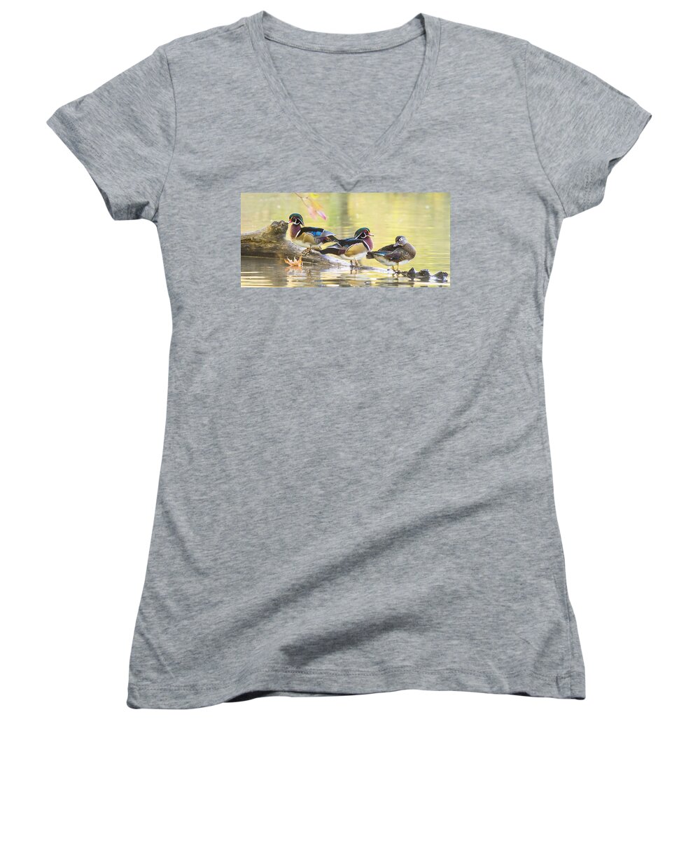 Wood-duck Women's V-Neck featuring the photograph Wood-ducks panorama by Mircea Costina Photography
