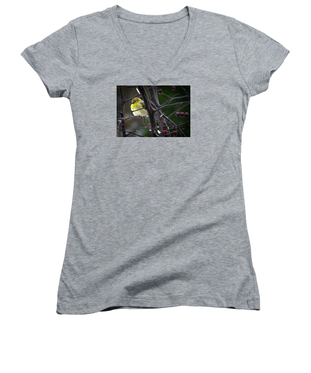 Yellow Finch Women's V-Neck featuring the photograph Yellow Finch by Karen Wiles
