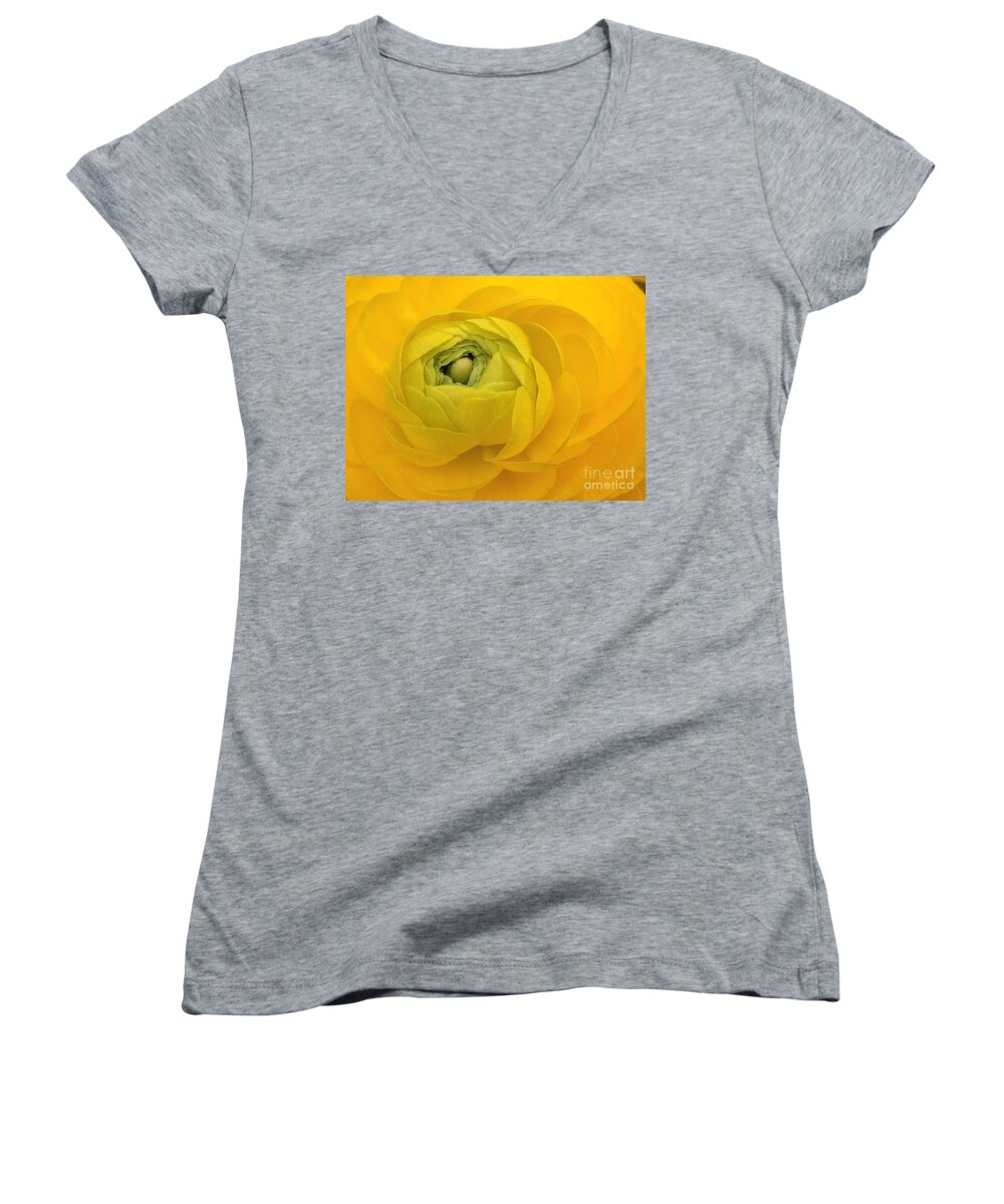 Yellow Women's V-Neck featuring the photograph Yellow Ranunculus by Jacklyn Duryea Fraizer