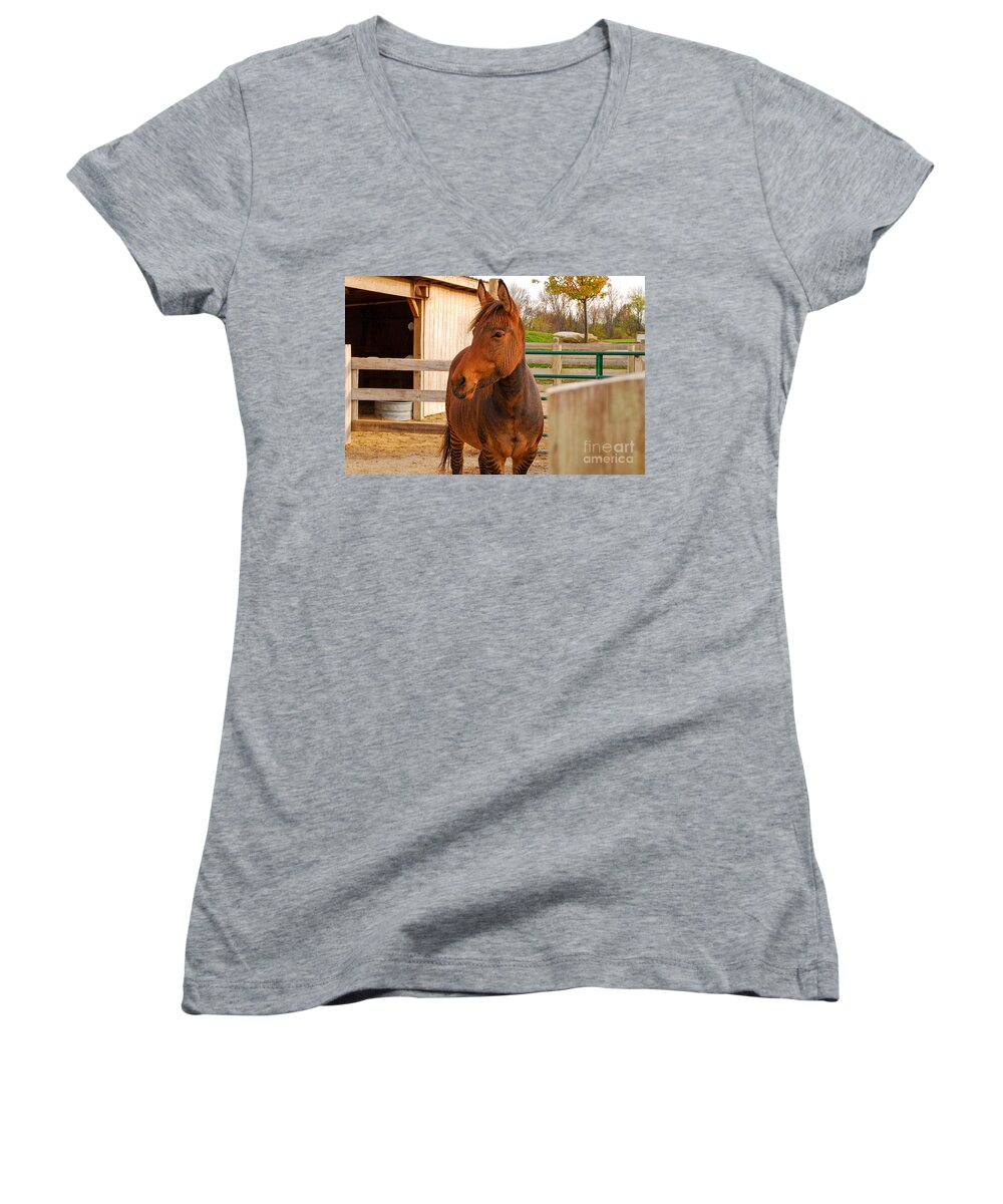 Zorse Women's V-Neck featuring the photograph Zorse by Mary Carol Story