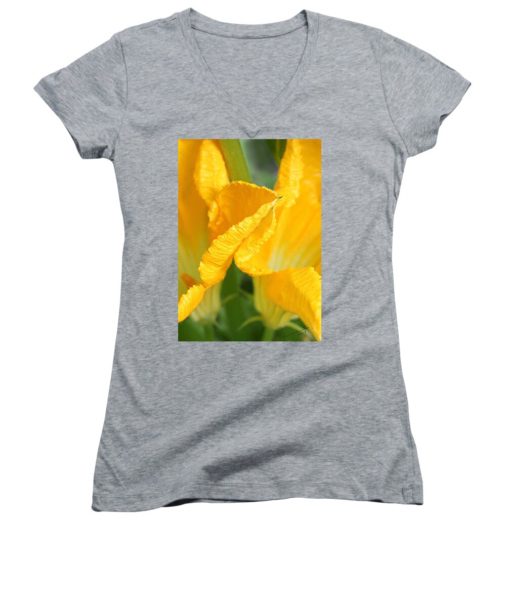 Zucchini Flowers Women's V-Neck featuring the photograph Zucchini Flowers in May by Kume Bryant