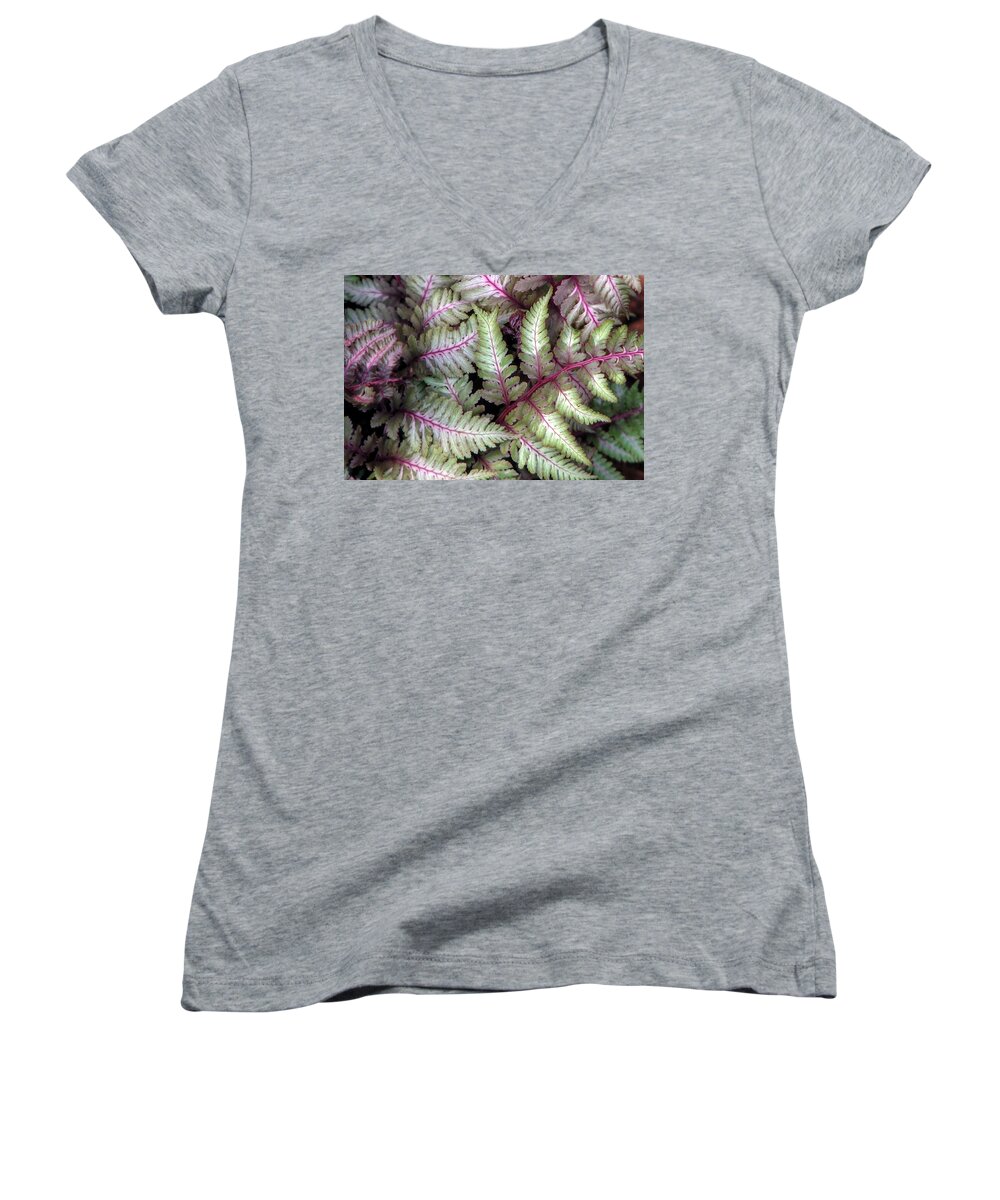 Japanese Painted Fern Women's V-Neck featuring the photograph Japanese Painted Fern #2 by Chris Anderson