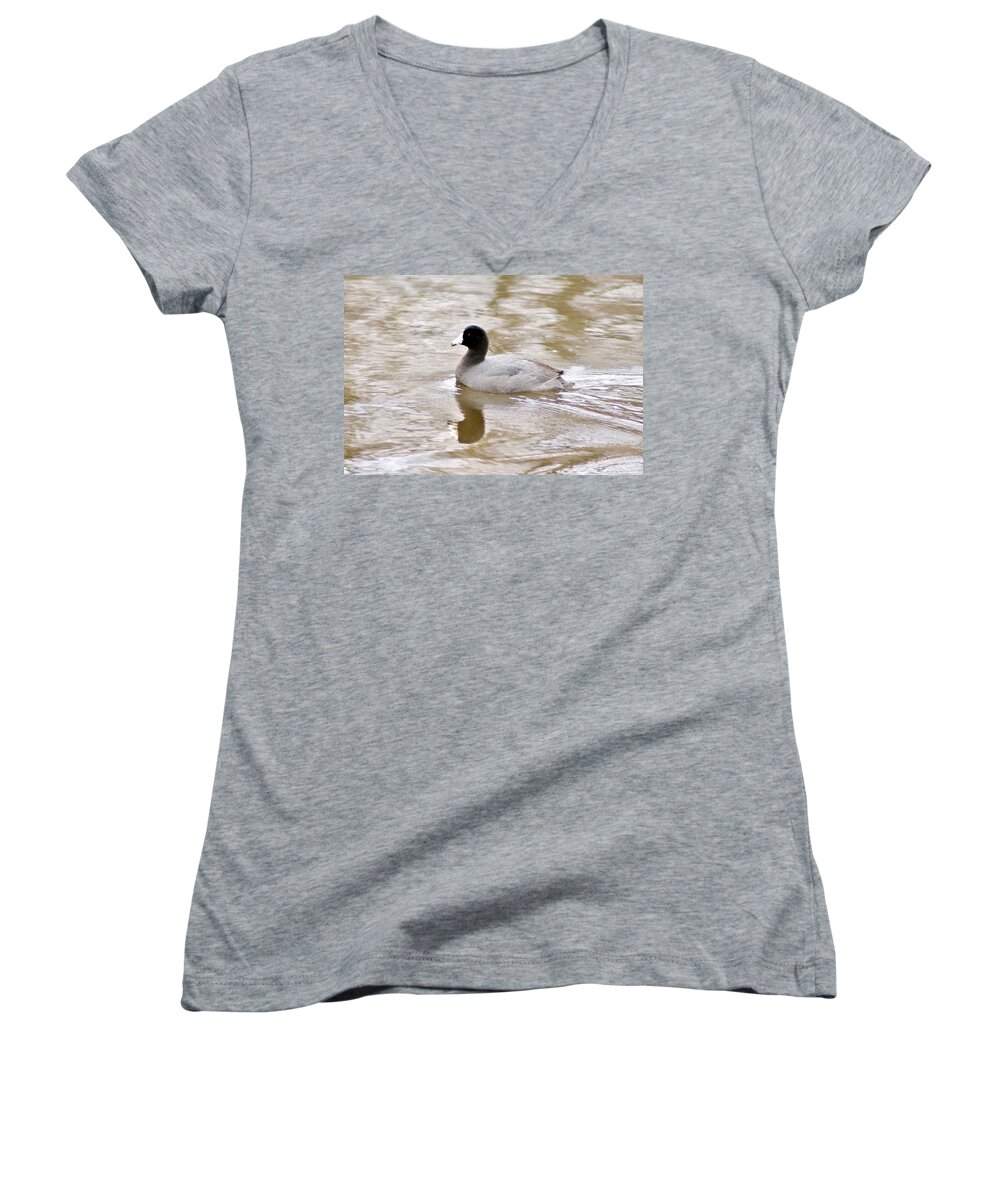 Coot Women's V-Neck featuring the photograph American Coot 1 by Joe Faherty