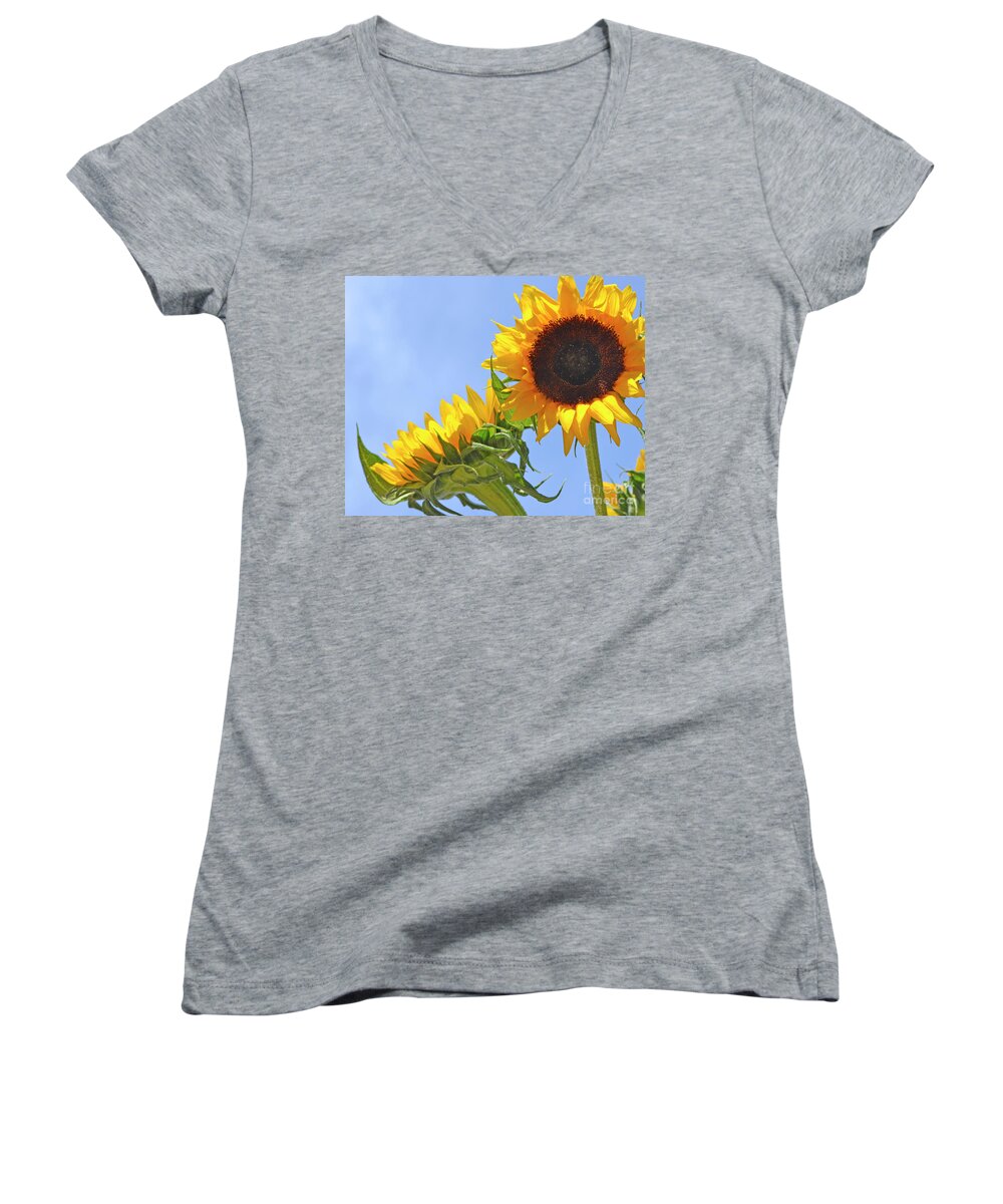Sunflower Women's V-Neck featuring the photograph August Sunshine by Traci Cottingham