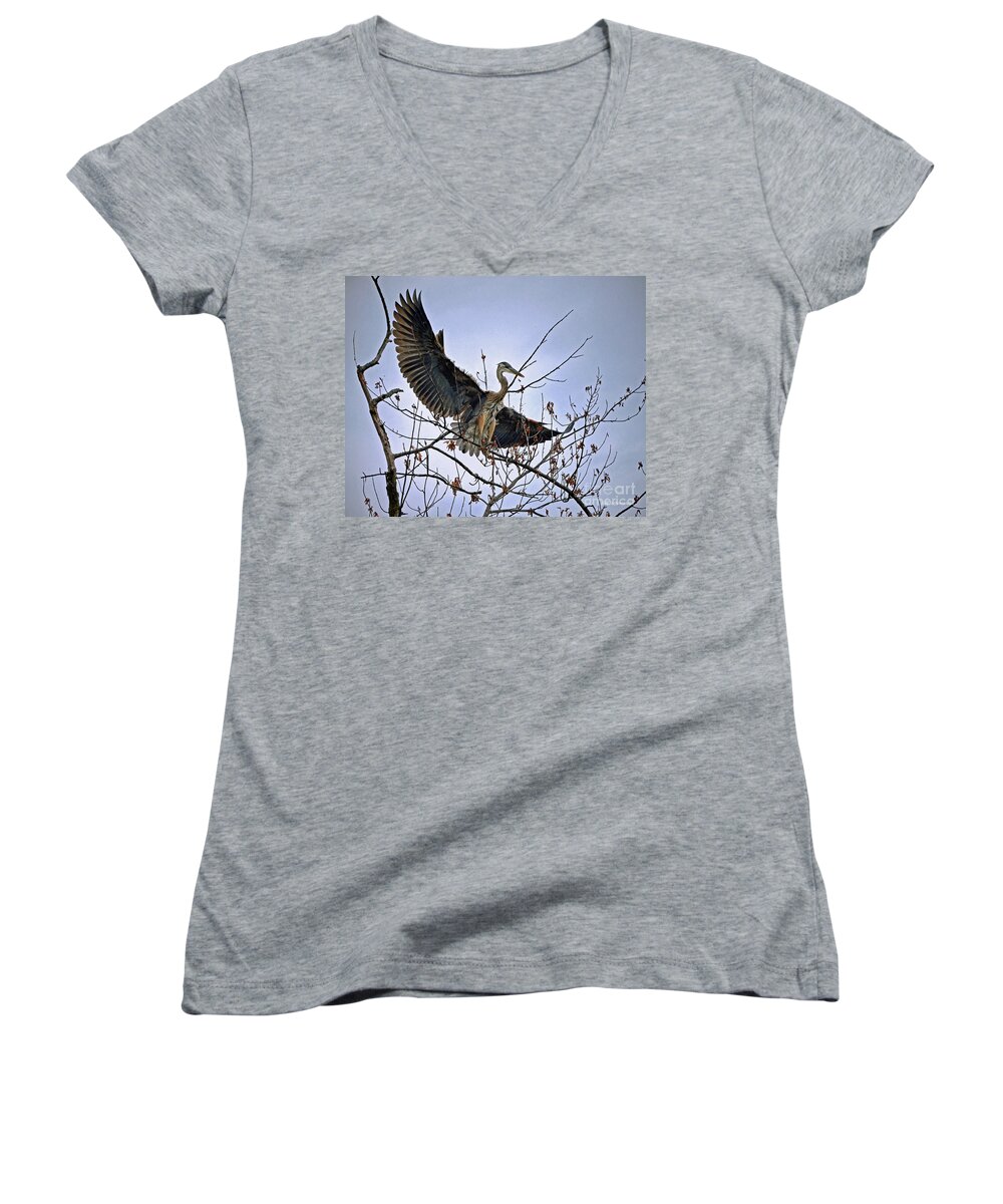 Color Photography Women's V-Neck featuring the photograph Balance by Sue Stefanowicz