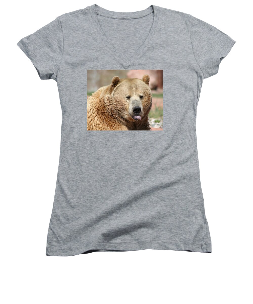 Bear Women's V-Neck featuring the photograph Bear Rasberry by Living Color Photography Lorraine Lynch