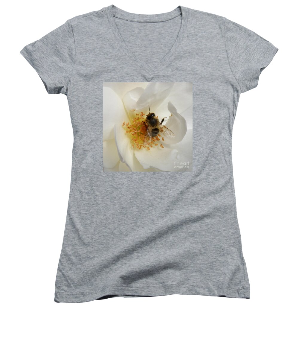 Bee Women's V-Neck featuring the photograph Bee in a White Rose by Lainie Wrightson