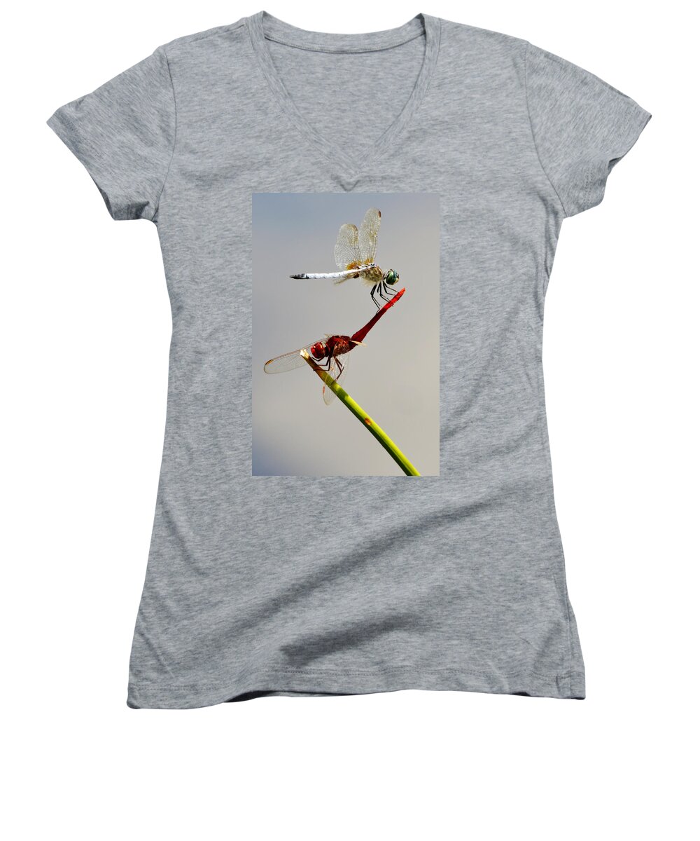 Dragonfly Women's V-Neck featuring the photograph Circus Act by Melanie Moraga