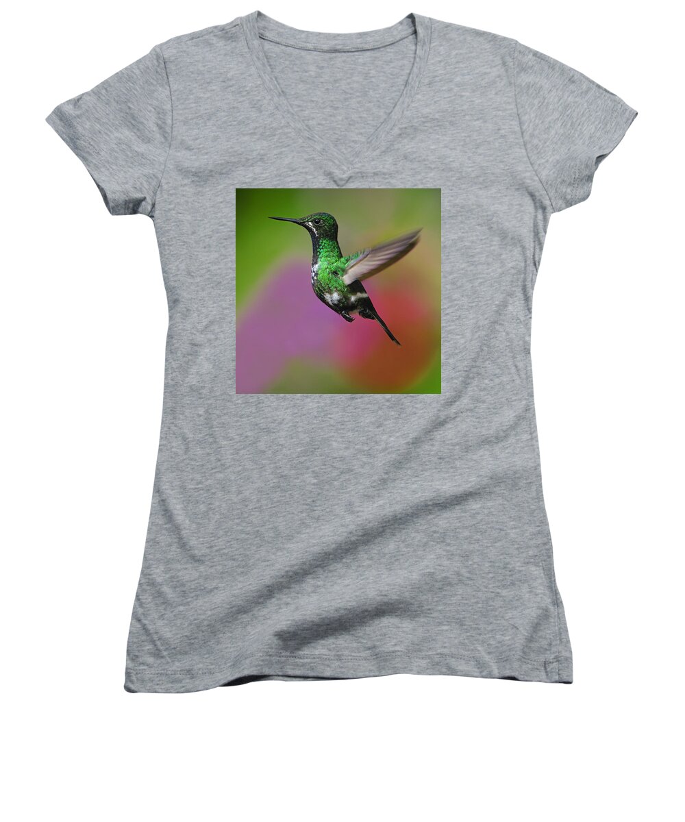 Green Thorntail Women's V-Neck featuring the photograph Female Green Thorntail by Tony Beck