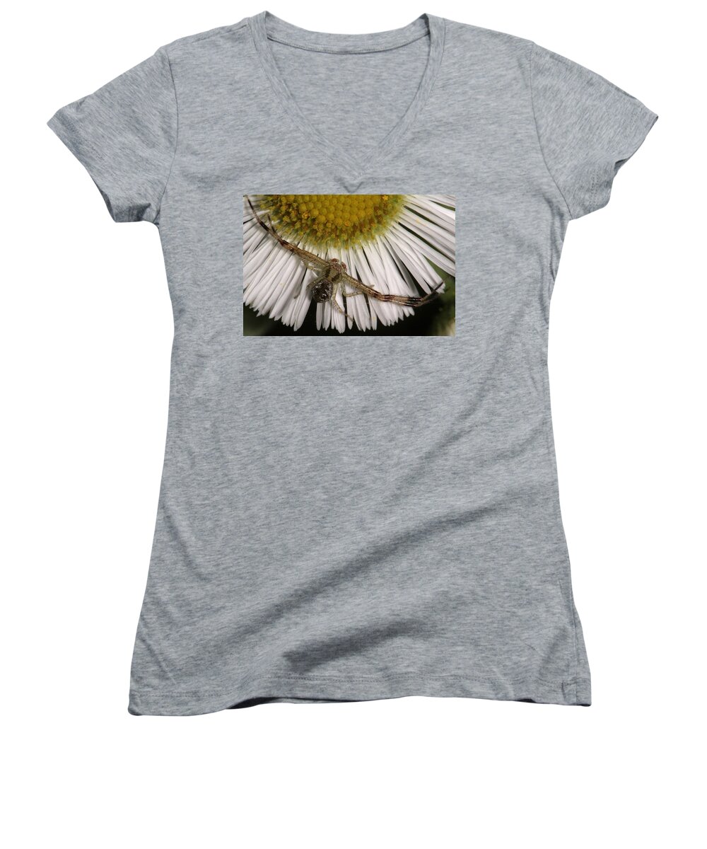 Nature Women's V-Neck featuring the photograph Flower Spider On Fleabane by Daniel Reed