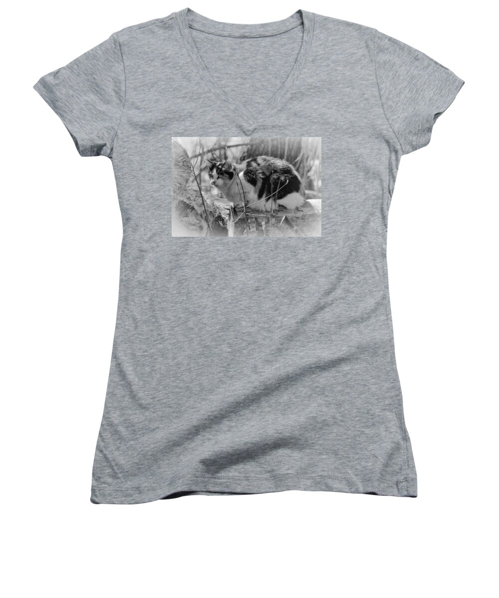 Cat Women's V-Neck featuring the photograph Hiding by Eunice Gibb