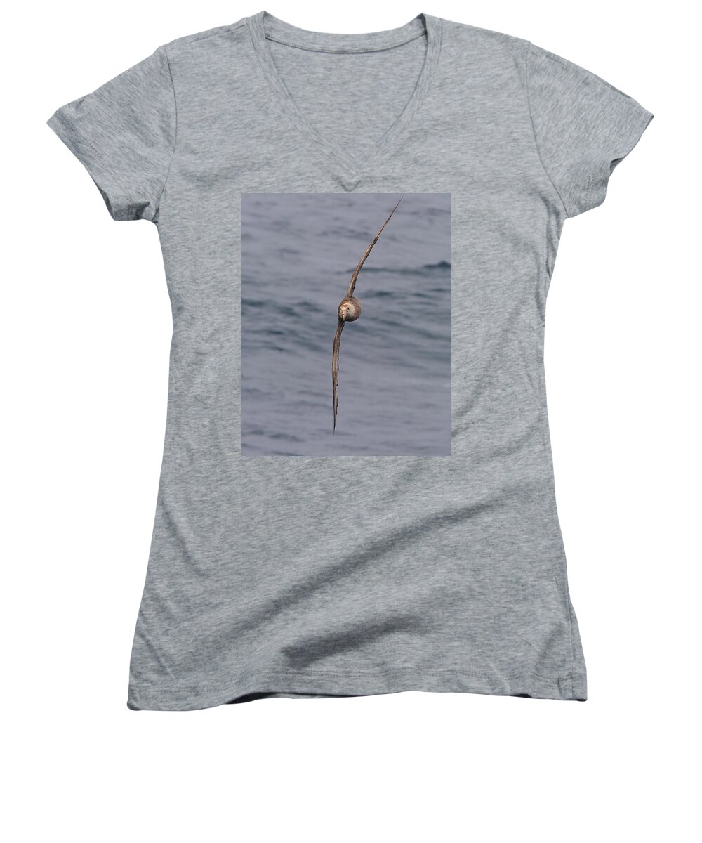 Southern Giant Petrel (macronectes Giganteus) Women's V-Neck featuring the photograph Into The Wind by Tony Beck