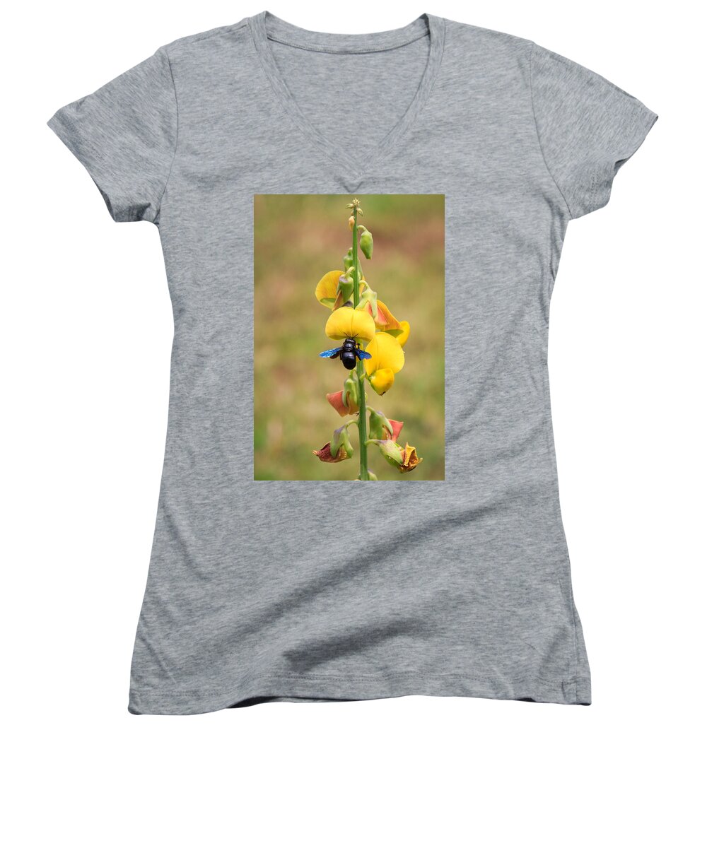 Bee Women's V-Neck featuring the photograph Its the climb by SAURAVphoto Online Store