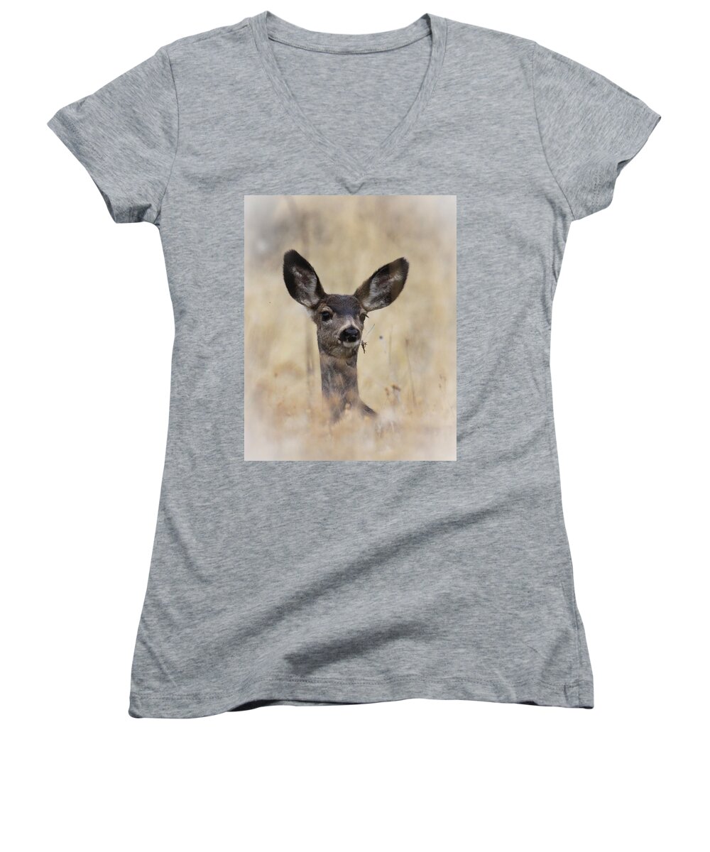 Fawn Women's V-Neck featuring the photograph Little Fawn by Steve McKinzie