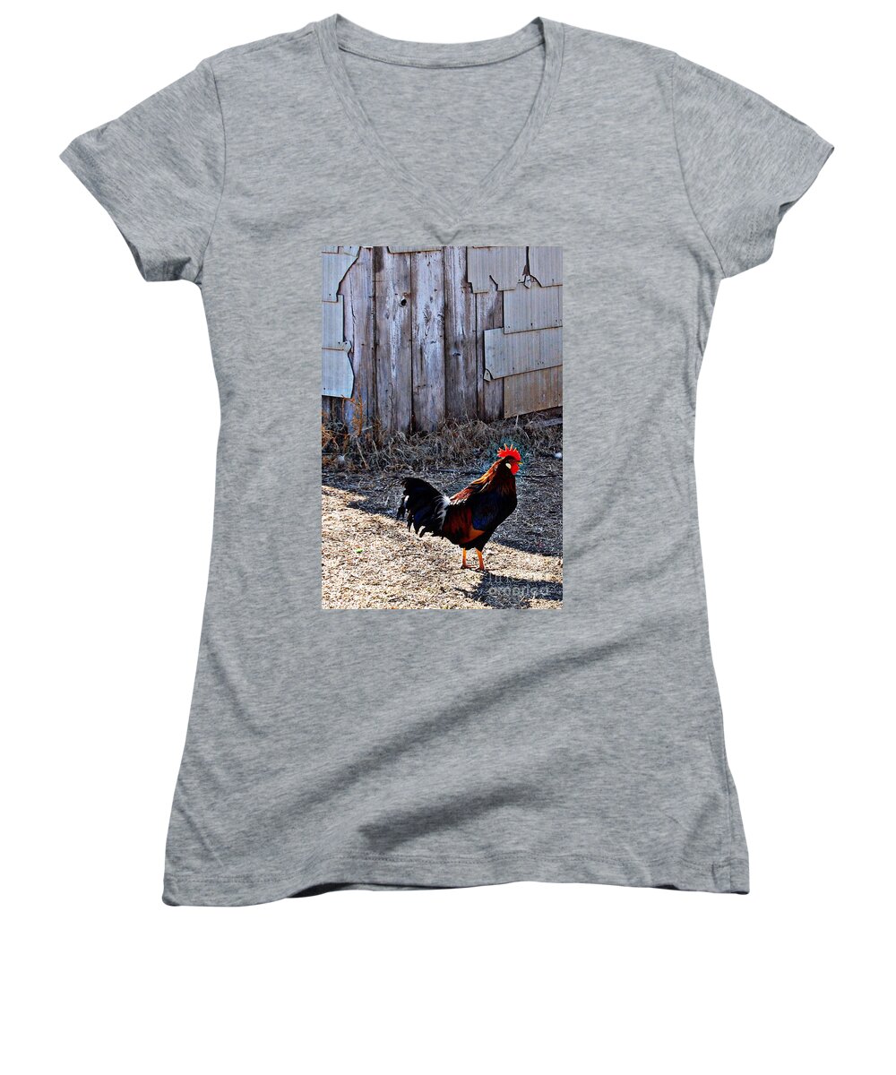 Rooster Women's V-Neck featuring the photograph Little Red Rooster by Anjanette Douglas