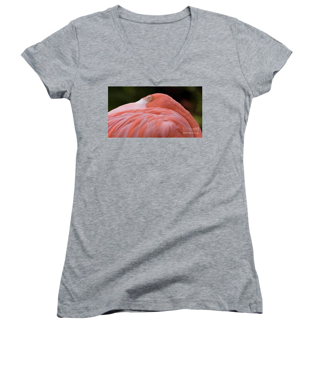 Birds Women's V-Neck featuring the photograph Peaking by Sue Karski