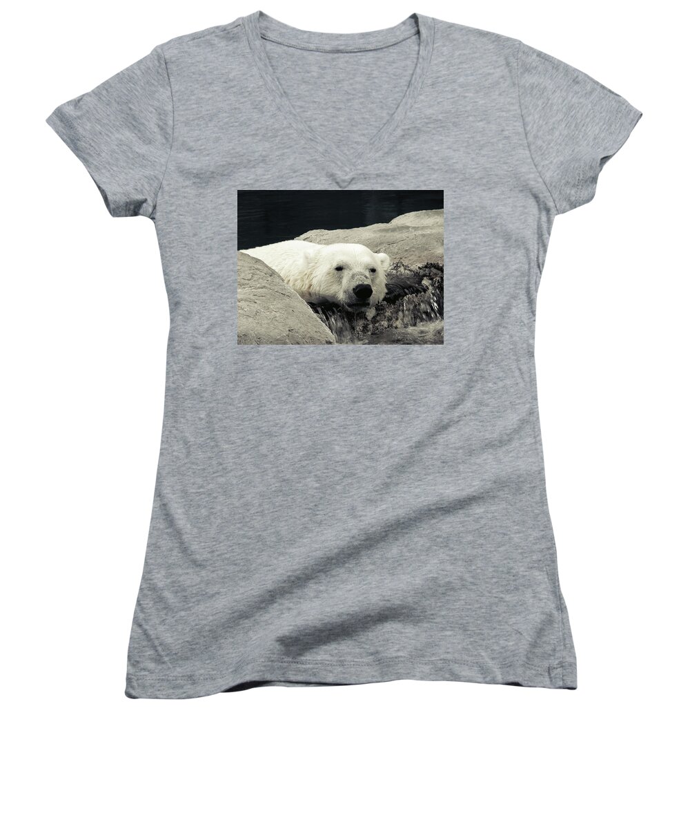 Animal Women's V-Neck featuring the photograph Polar Relaxation by Charles Benavidez