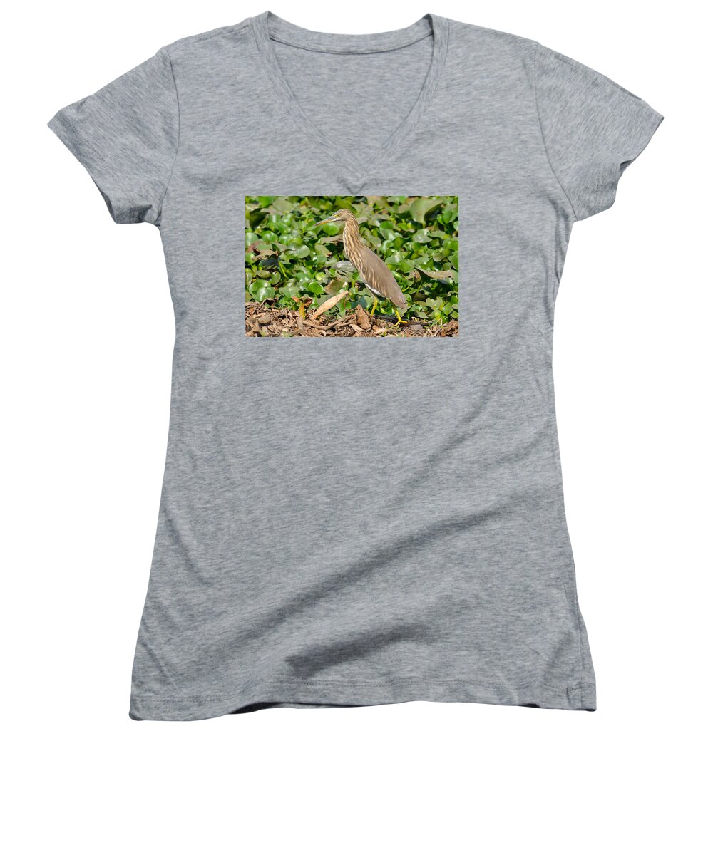 Pond Women's V-Neck featuring the photograph Pond Heron by Fotosas Photography