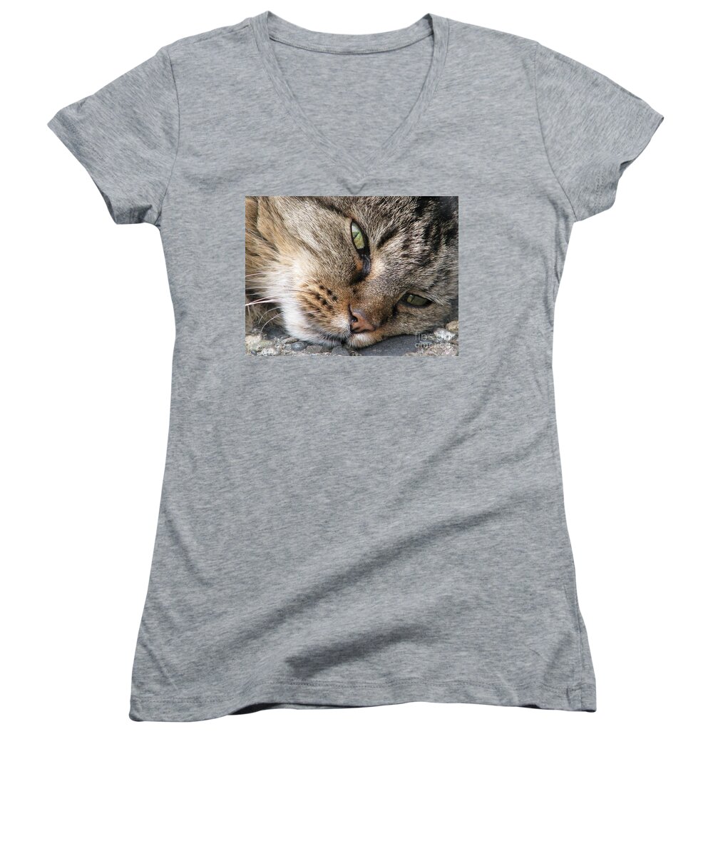 Cat Women's V-Neck featuring the photograph Pondering by Rory Siegel