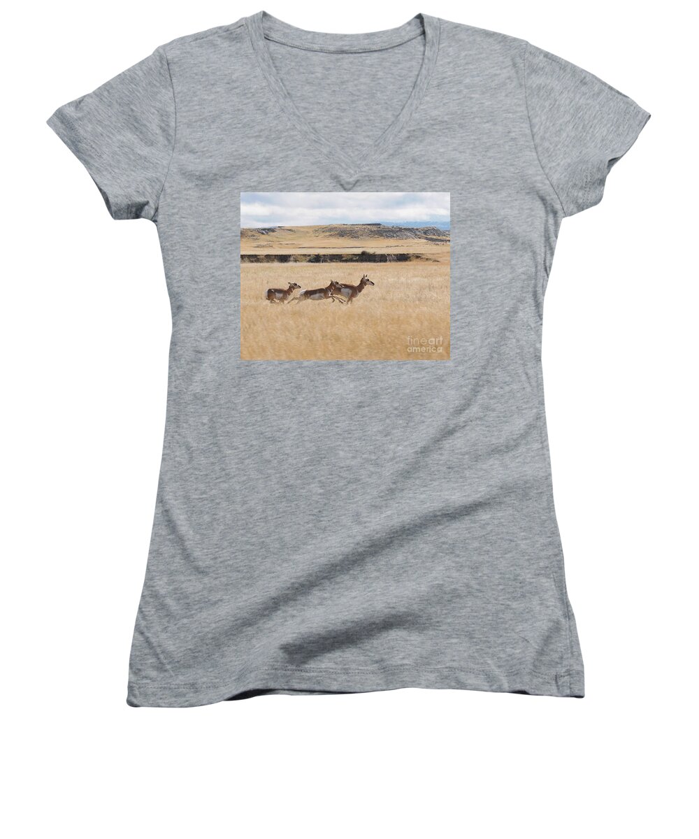 Pronghorn Antelope Women's V-Neck featuring the photograph Pronghorn Antelopes on the Run by Art Whitton