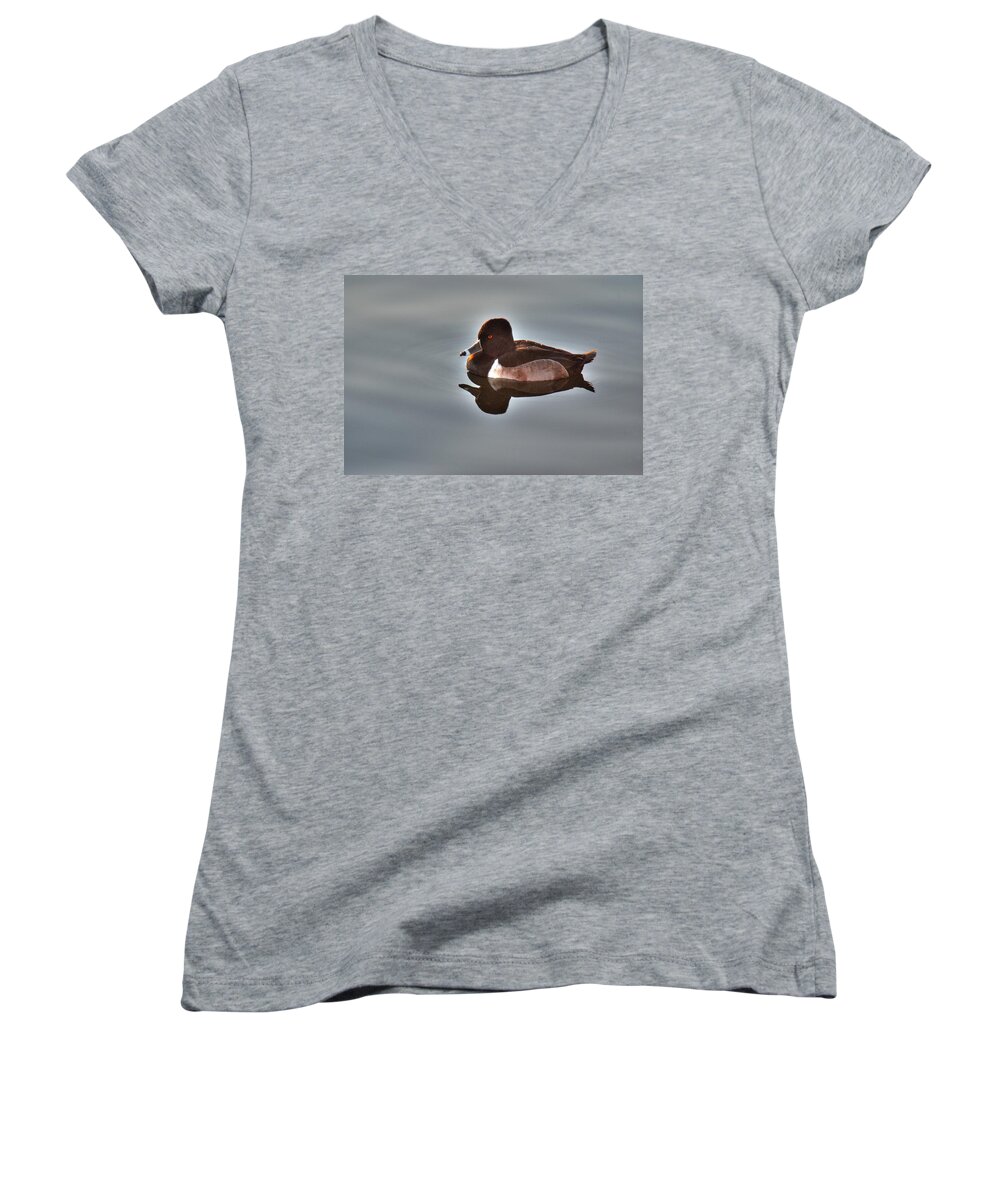 Duck Women's V-Neck featuring the photograph Ring-Necked Duck by Tam Ryan