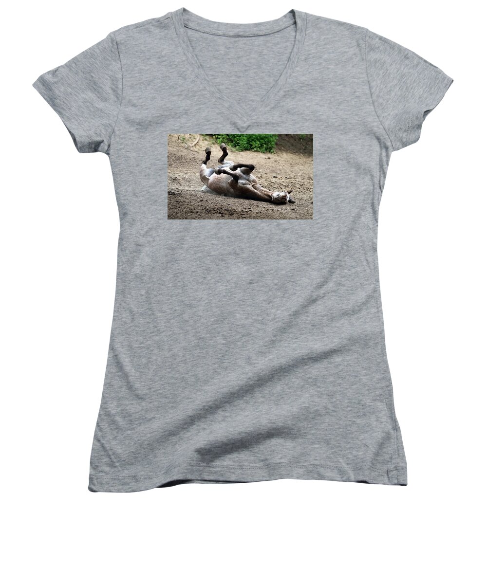 Horse Women's V-Neck featuring the photograph Rollin in the Dirt by Elizabeth Winter