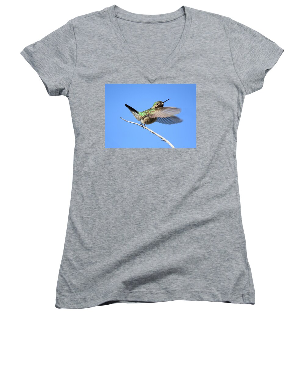 Hummingbird Women's V-Neck featuring the photograph Showing My Beauty by Shane Bechler