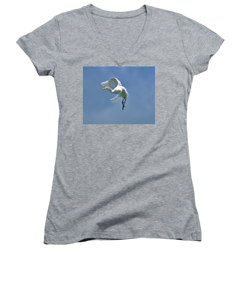 Cattle Erget Women's V-Neck featuring the photograph Sky Dancing by Bill Dodsworth