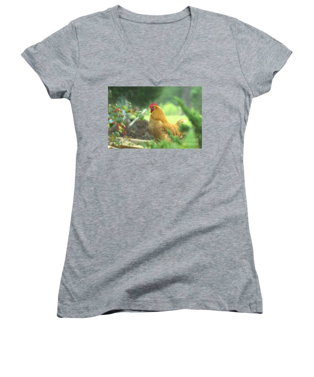 Bird Women's V-Neck featuring the photograph Slick 2 by Donna Brown