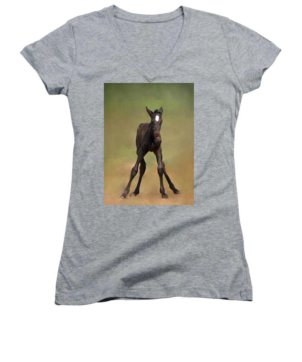 Animal Women's V-Neck featuring the photograph Standing On All Fours by Davandra Cribbie