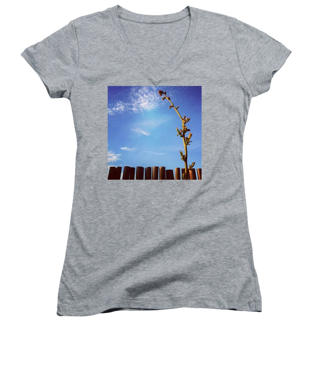 Blue Women's V-Neck featuring the photograph The Blueberry Bush by Katie Cupcakes