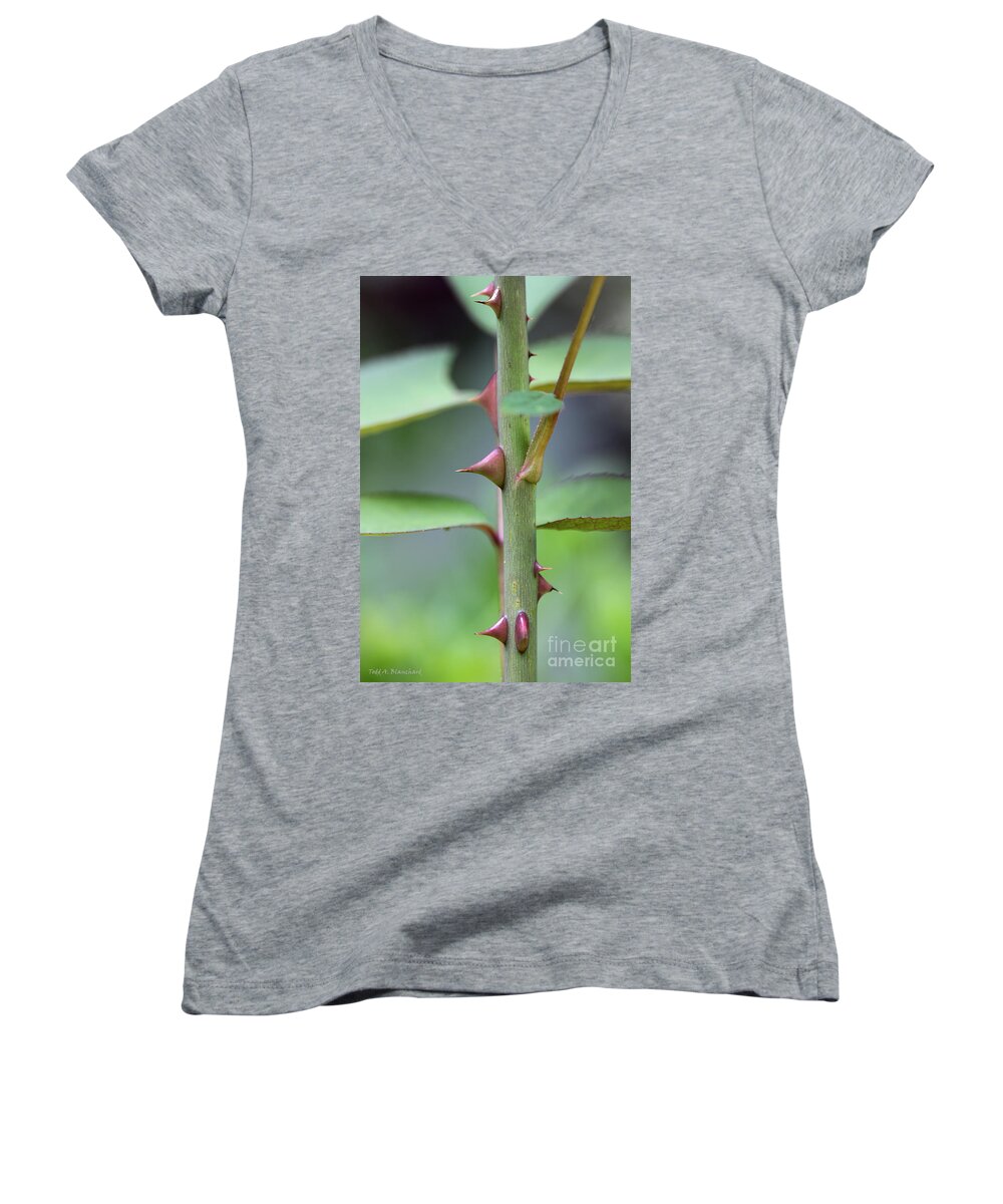 Stem Women's V-Neck featuring the photograph Thorny Stem by Todd Blanchard