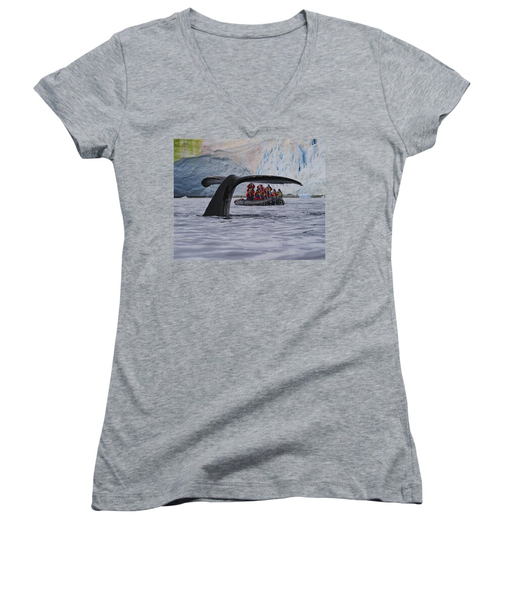 Humpback Whale (megaptera Novaeangliae) Women's V-Neck featuring the photograph Total Fluke by Tony Beck