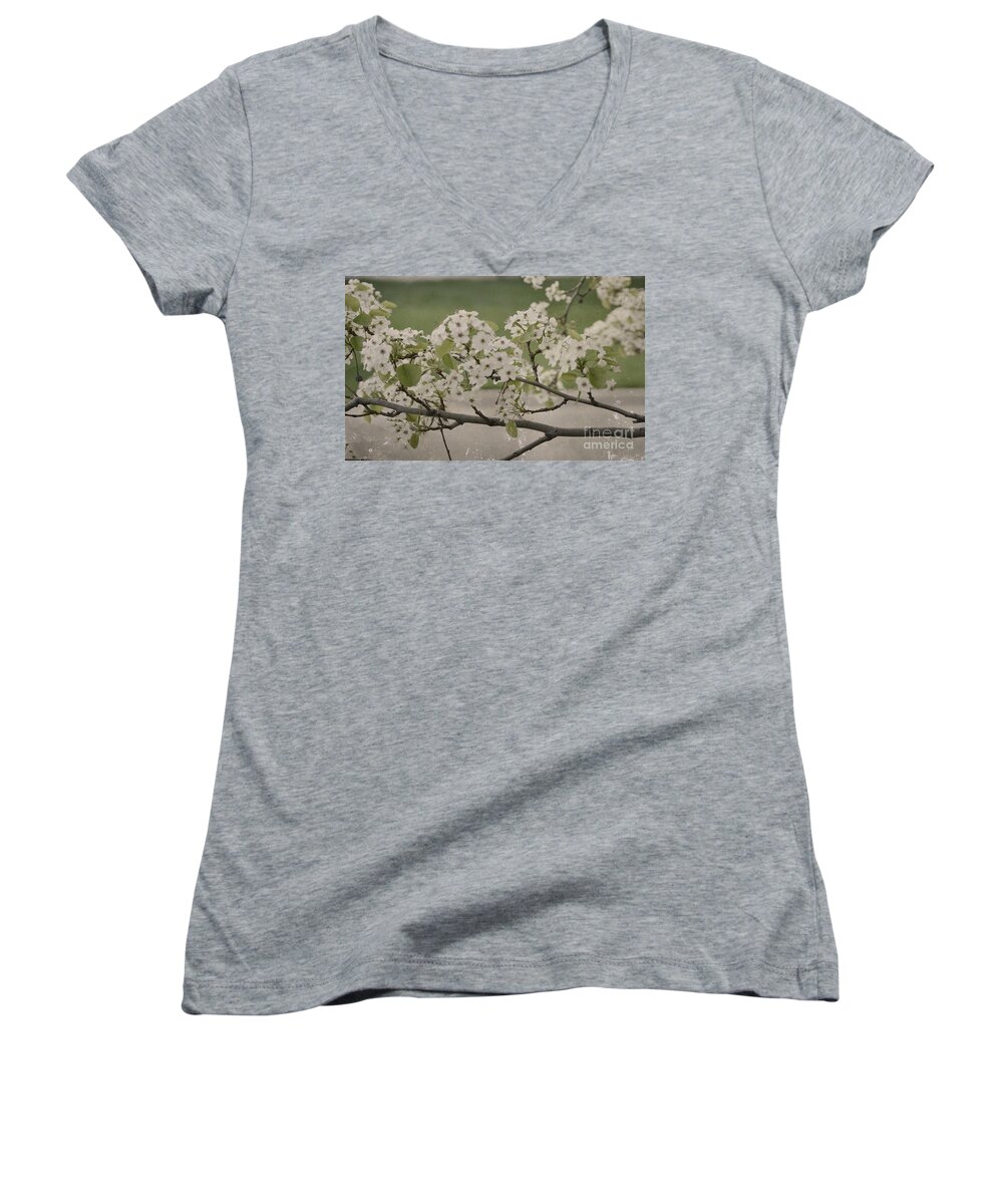 Pink Women's V-Neck featuring the photograph Vintage Spring by Traci Cottingham