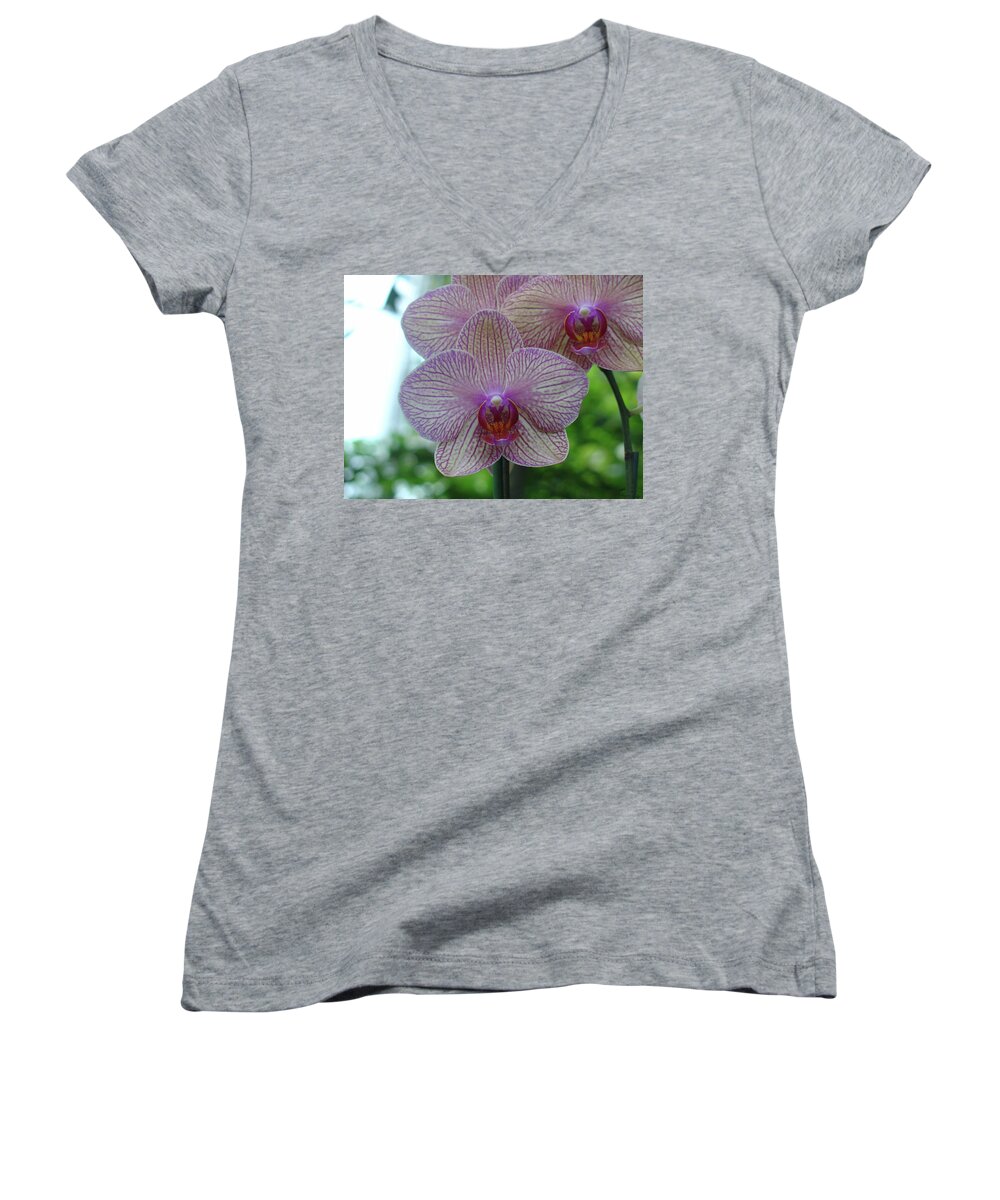 Orchid Women's V-Neck featuring the photograph White and Pink Orchid by Charles and Melisa Morrison
