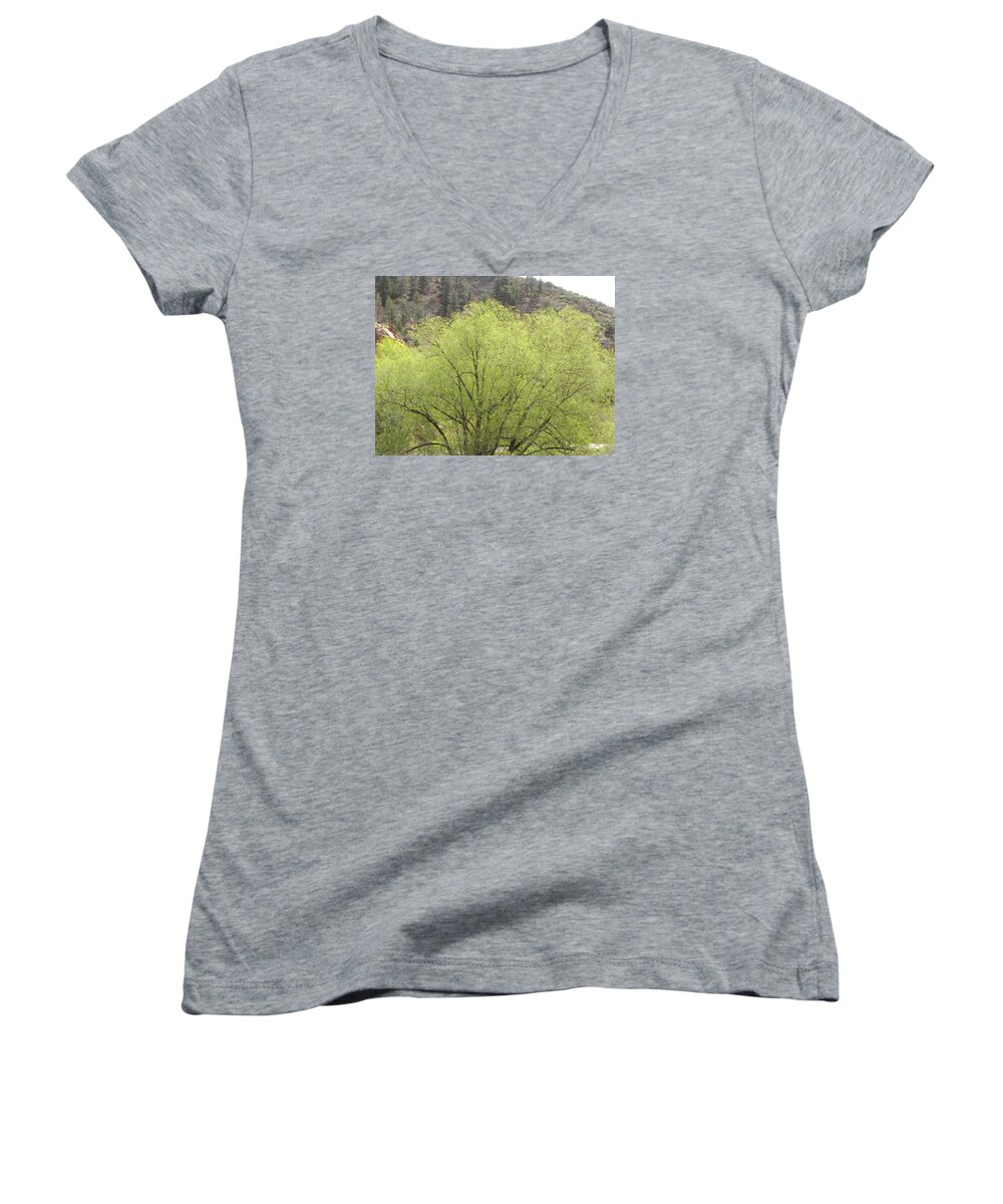 Big Women's V-Neck featuring the photograph Tree Ute Pass Hwy 24 COS CO by Margarethe Binkley