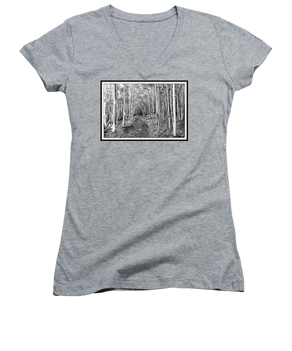 Aspen Women's V-Neck featuring the photograph Aspen Forest #1 by Farol Tomson
