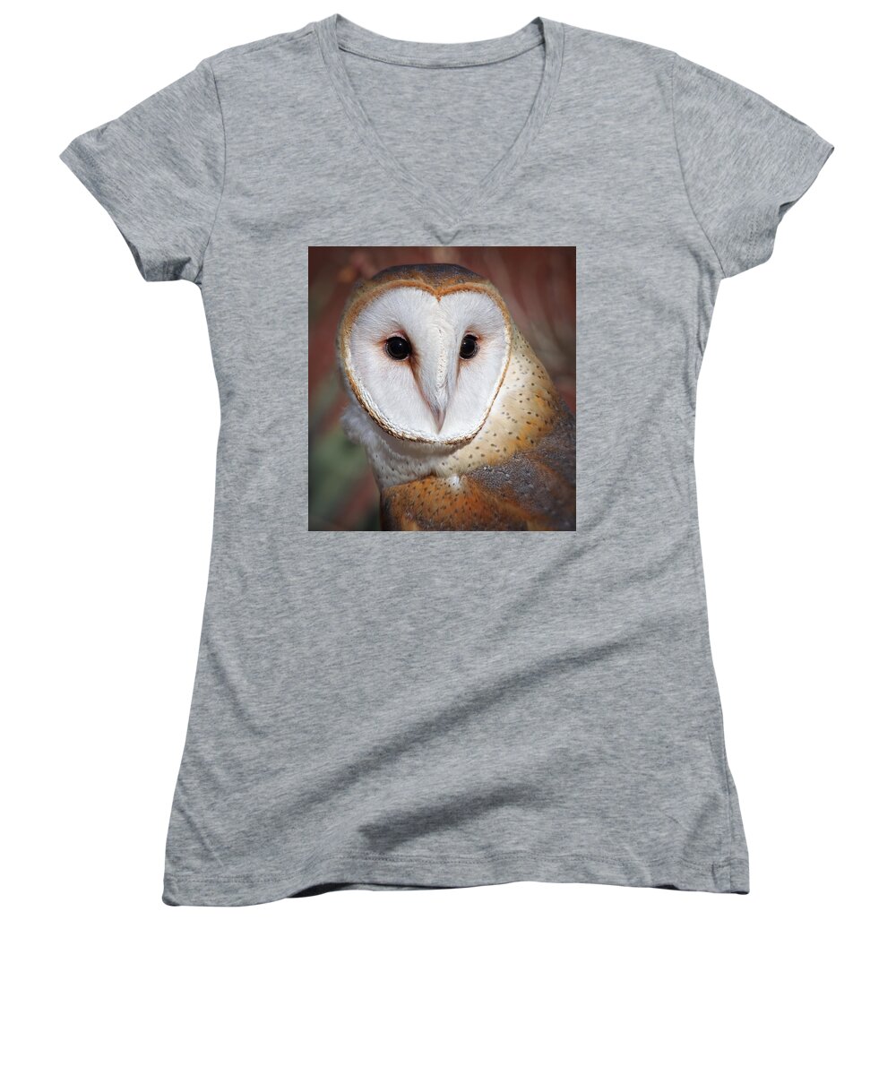 Owls Women's V-Neck featuring the photograph Barn Owl #1 by Elaine Malott