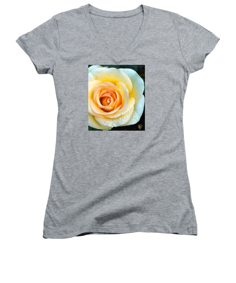Rose Women's V-Neck featuring the photograph Bathing Beauty #1 by Nicole Dumond-Barry