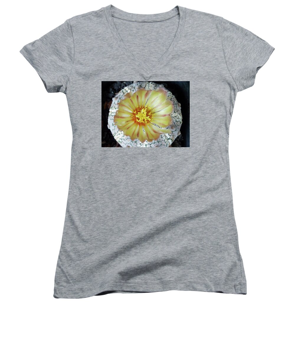 Cactus Women's V-Neck featuring the photograph Cactus Flower 2 #2 by Selena Boron