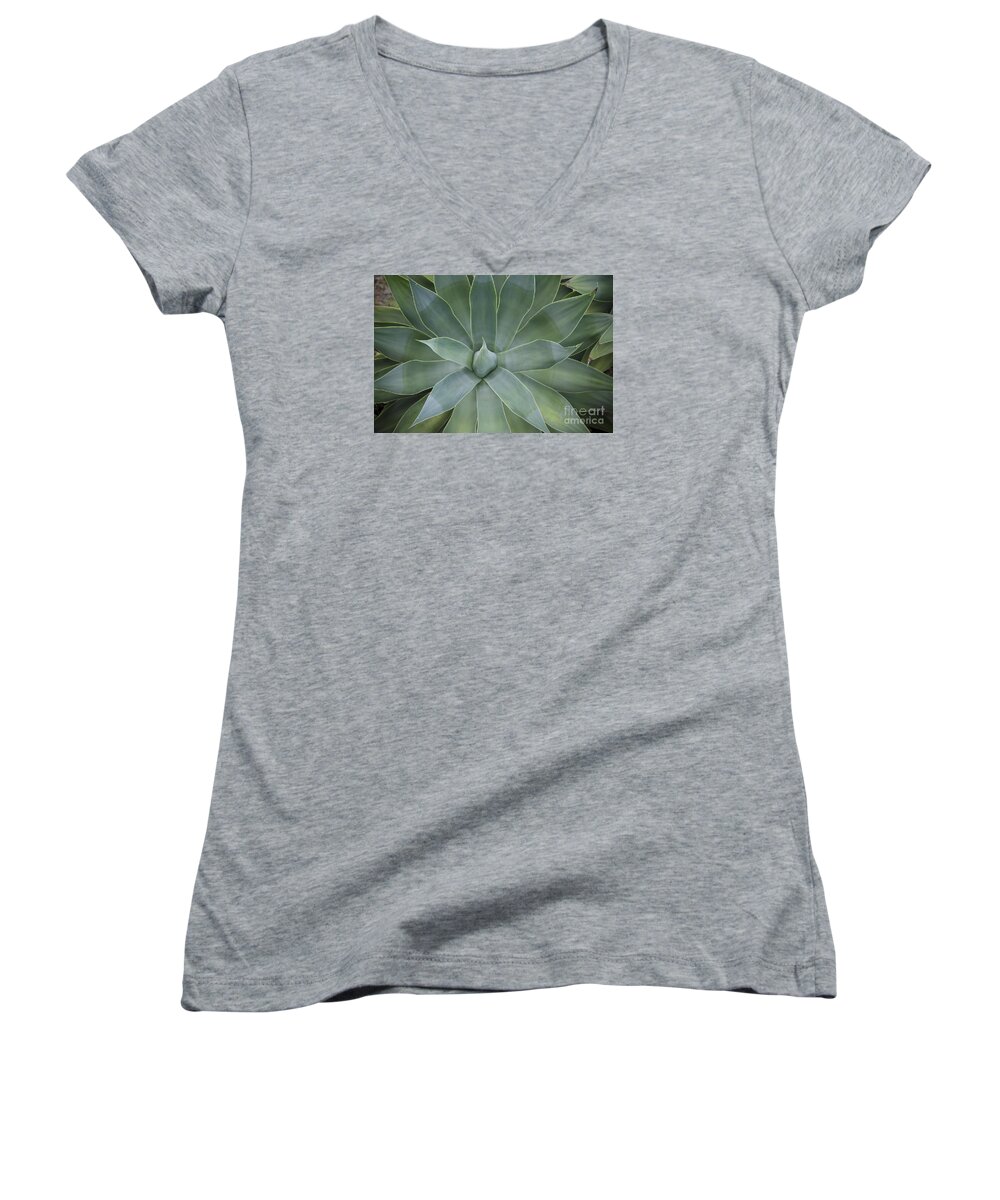 Agave Attenuata Women's V-Neck featuring the photograph Detail of an Agave attenuata #1 by Perry Van Munster