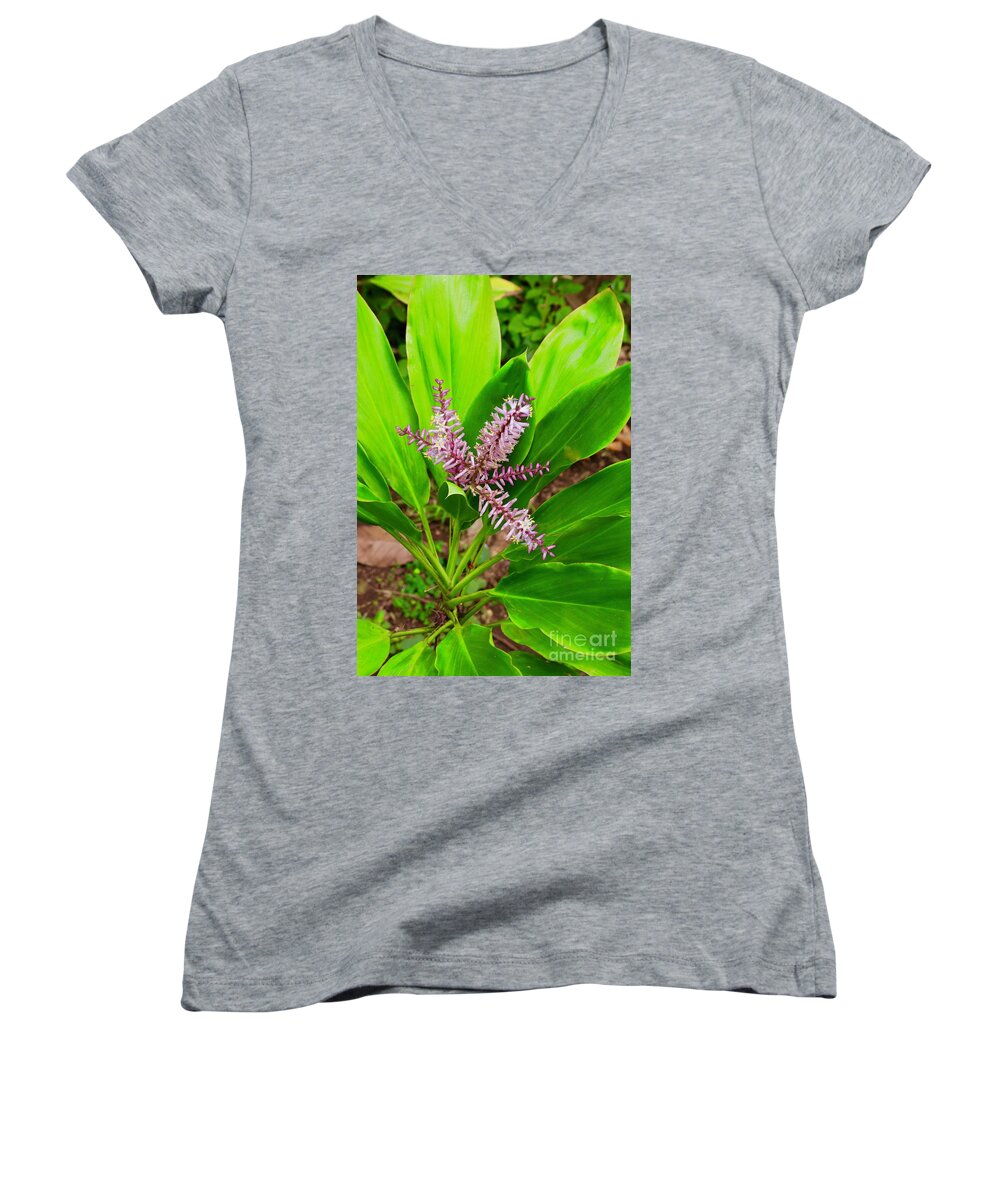 Ki Plant Women's V-Neck featuring the photograph Flowering Ti Plant #1 by Craig Wood