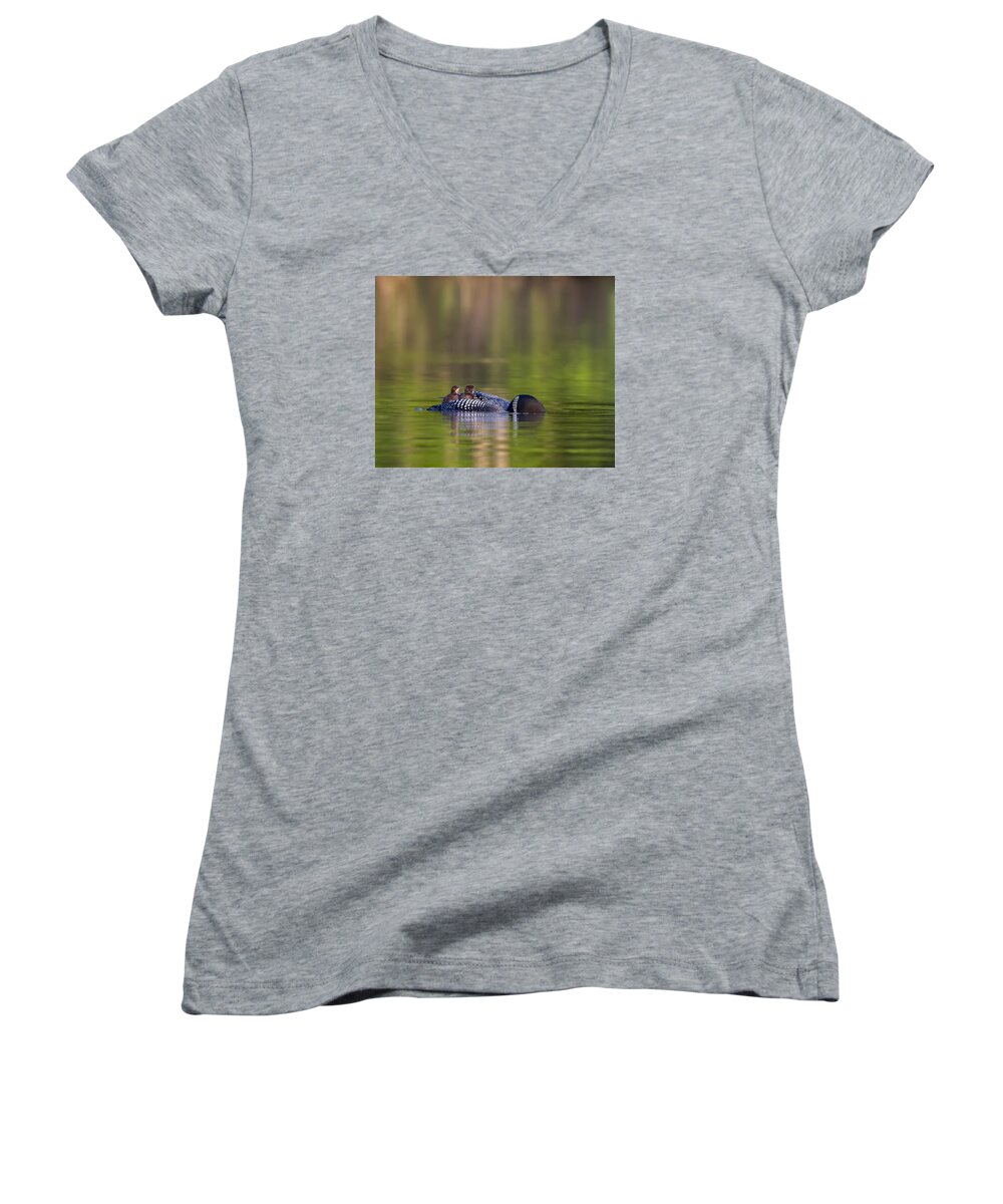Common Loon Women's V-Neck featuring the photograph Loon Chick Yawn #2 by John Vose