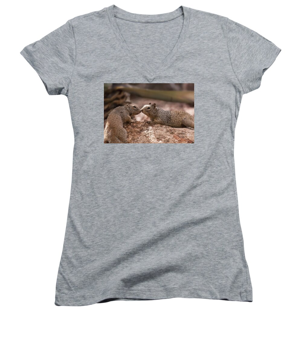 Rock Squirrels Women's V-Neck featuring the photograph Love Is In The Air #2 by Saija Lehtonen